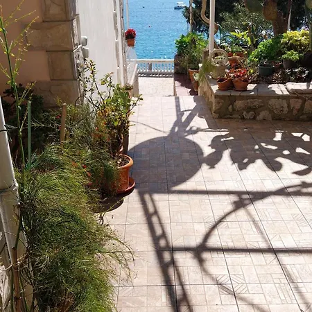 Captain's Apartament Molunat