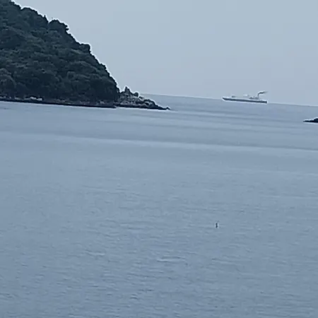 Captain's 아파트 몰루나트