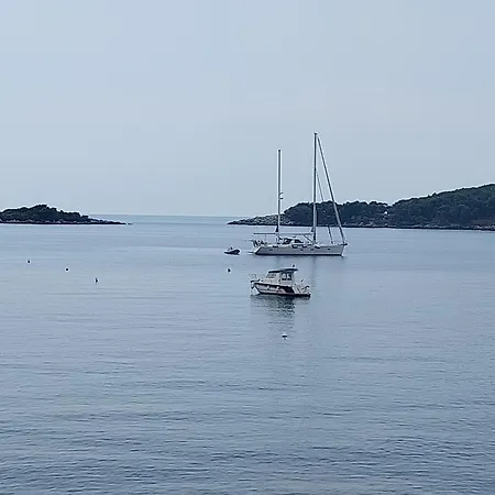 Captain's