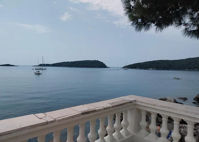 Captain's * مولونات