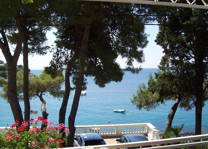 Captain's * 몰루나트