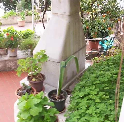 아파트 Captain's *